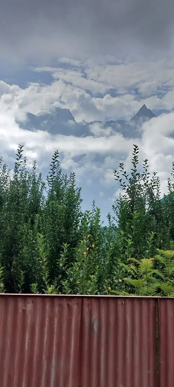 Snow-covered Himalayan peaks above green orchards and clouds